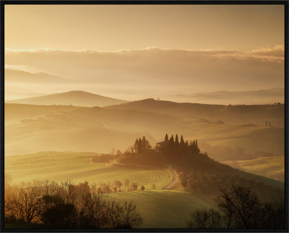 Silence of the morning mist