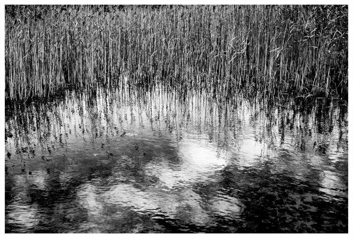 Fragile Clarity