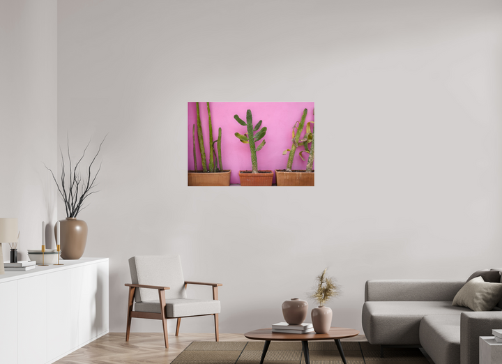 Cacti in Colorplay