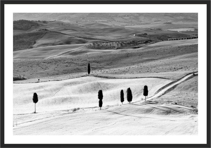 Road of Gentle Hills