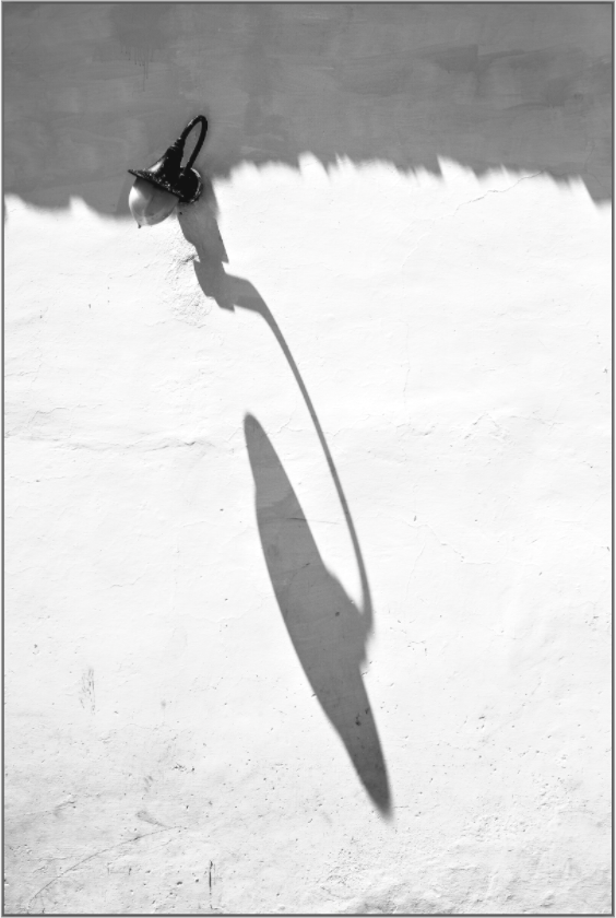 Dance of Shadows