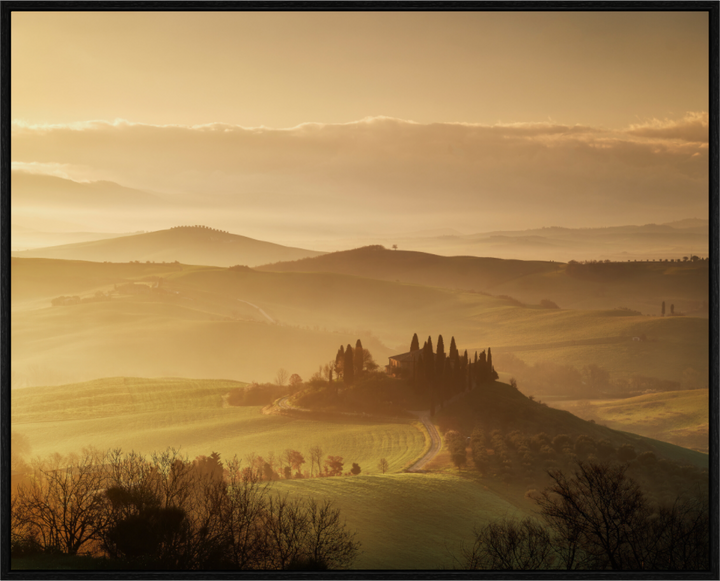 Silence of the morning mist