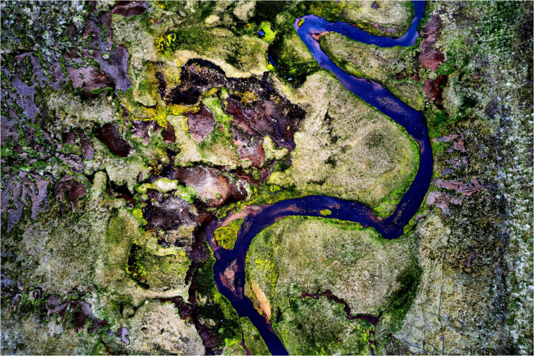 The River of Colors