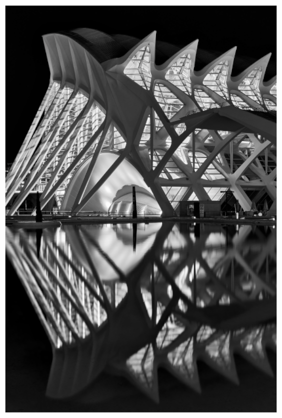 Nocturnal Reflections