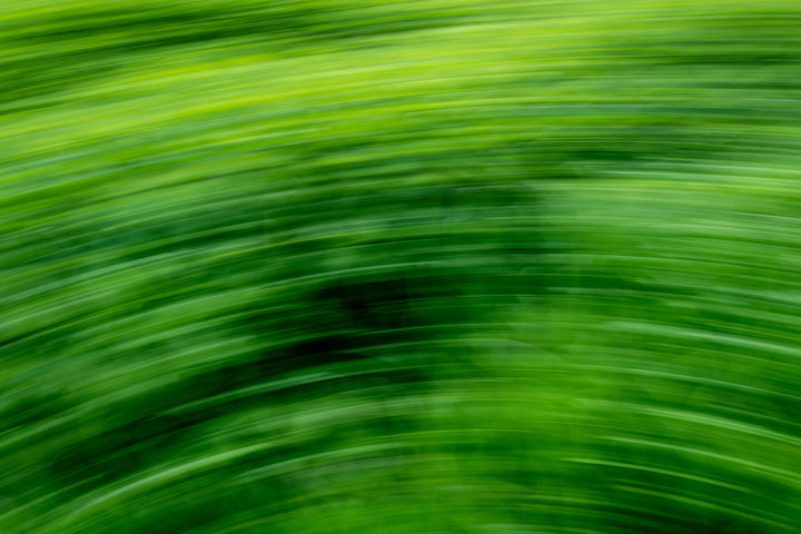 Green Sea in Motion - Open Edition