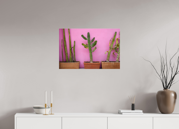 Cacti in Colorplay