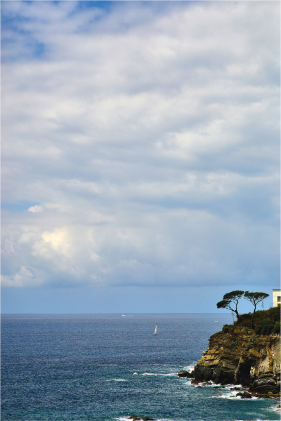 The Silent Coast