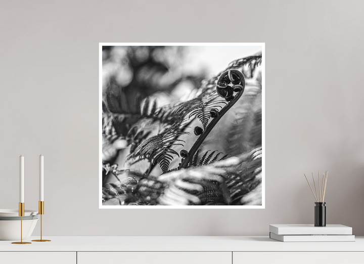 Whispering Ferns